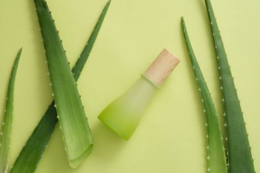 Aloe vera yapraklarıyla süslenmemiş ahşap kapaklı kozmetik konteynır. Aloe vera (Aloe barbadensis miller) cilt ve vücut için doğal bir nemlendirici olarak kullanılabilir.