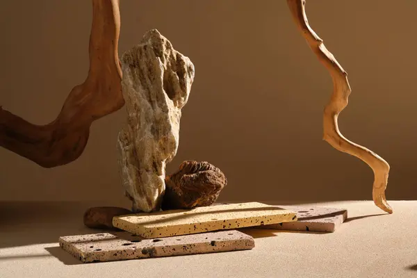 Dikdörtgen Şekilli Birkaç Taş Podyum Düzenlenmiştir Kayalarla Ağaç Dallarıyla Kompozisyon — Stok fotoğraf
