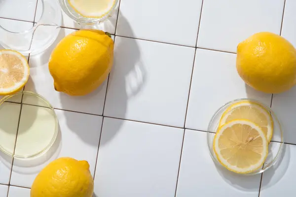 Citromszeletekkel Töltött Citromból Kivont Illóolajjal Citrus Limon Töltött Petri Csészék — Stock Fotó