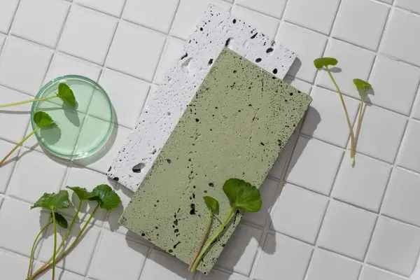 緑色の液体とゴチョラの葉を含むガラス製のペトリ皿で飾られた2つの空の石の表彰台 美容製品プレゼンテーションのための空白スペース — ストック写真