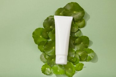 Taze Gotu kola yapraklarının üzerine etiketsiz beyaz tüp yerleştirilmiş. Gotu kola (Centella asiatica) tabanlı organik ürünün markalaşması)