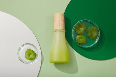 Yuvarlak akrilik çarşaflar beyaz ve yeşil renklerde ve cam petri kapları Gotu kola yapraklarıyla kaplı. Gotu kola (Centella asiatica) özünün ürün modellemesi için boş etiket kavanozu