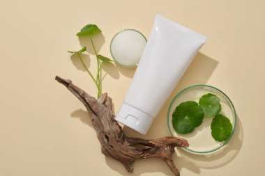 Ağaç dalında doğal bir kavram, petri kabında taze yapraklar, köpükler ve beyaz güzellik tüpü. Kozmetik paket Gotu kola (Centella asiatica) özünün bir koleksiyonunu oluşturur