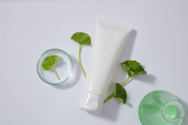 Bir petri kabı ve Gotu kola 'dan (Centella asiatica) alınmış bir erlenmeyer yeşil sıvı ile markalaştırılmamış tüp sergilenmektedir. Güzellik ürünü maketi