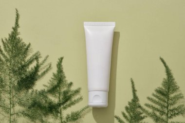 Beyaz bir kozmetik konteynırın, arka planda birkaç yeşil yapraklı minimum görüntüsü. Doğal, organik güzellik ürünleri kavramı