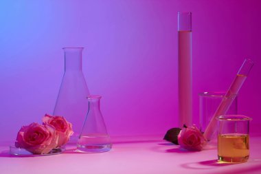 Erlenmeyer şişesi pembe ve sarı sıvı içeren deney tüpleriyle sergilenir. Mezuniyet geçmişi. Rose (Rosa) kanın toksinlerini temizler.