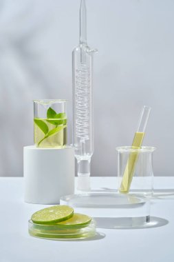 Kireç dilimleri içeren cam petri kabı, beyaz zemin üzerinde laboratuvar camlarıyla sergilenen şeffaf podyum. Limon (Citrus aurantiifolia) özeti için boş alan