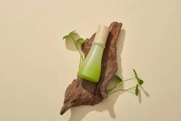 ベージュの背景の上に木の枝の上にラベルなしの緑の瓶 エイジング防止剤を提供するグッツァラ セントレラ マニカ から抽出した化粧品 — ストック写真