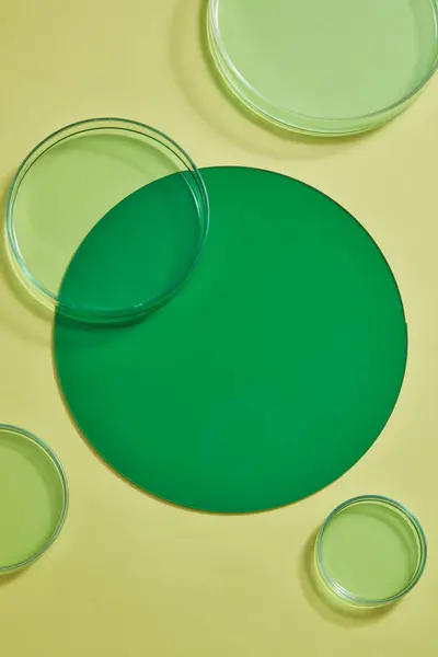 Top View Plastic Board Green Color Decorated Several Petri Dishes — Stock Photo, Image