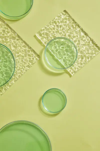 Las Soluciones Verdes Están Contenidas Dentro Muchas Placas Petri Vidrio — Foto de Stock