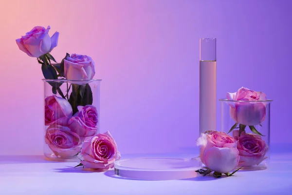 Several Roses Filled Two Beakers Test Tube Liquid Transparent Podium — Stock Photo, Image