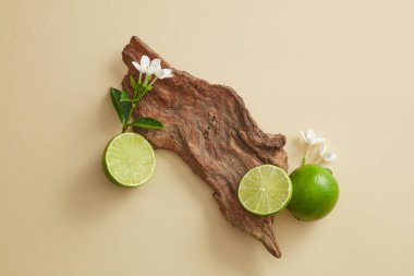 Limon dilimleri ve küçük çiçeklerle süslenmiş büyük bir ağaç dalı. Ağaç dalındaki boş alan, Lime (Citrus aurantiifolia) özünün kozmetik ürününüzü göstermek için kullanılabilir