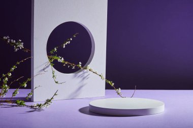 Çiçek dallarıyla süslenmiş beyaz bir podyum. Reklam için metin ve ürün eklemek için boş alan