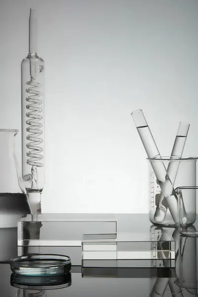Test Tube Petri Dish Filled Water Laboratory Glassware Displayed Rectangle — Stock Photo, Image
