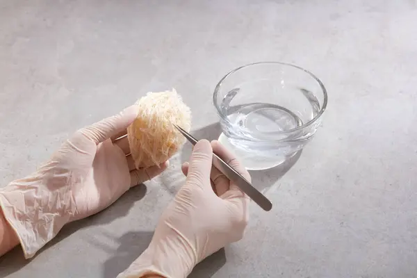 Gloved hands model is removing swiftlet feathers on an edible bird nest with a glass bowl of water besides. Bird nest is very well-known in Southeast Asia as a healthy food