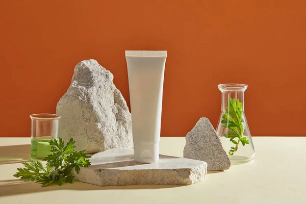 玻璃器皿放在石头上的白色管子 用实验室的玻璃器皿展示Mugwort Artemisia Vulgaris 产品模型空白标签 — 图库照片