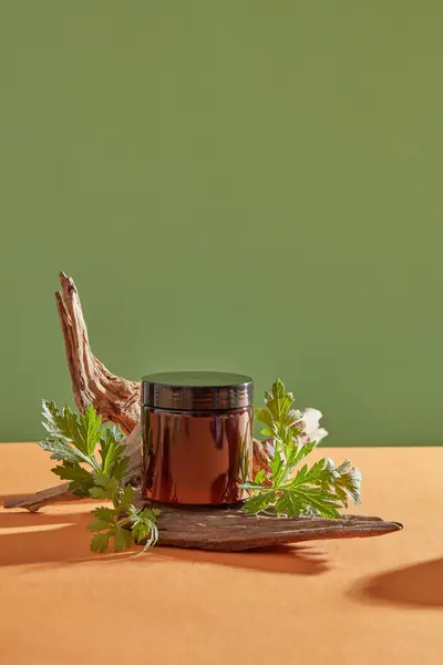Vaso Vetro Posto Ramo Albero Esposto Con Artemisia Essenza Estratta — Foto Stock