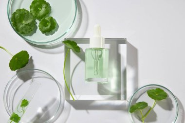 Şeffaf podyuma yerleştirilmiş cam şişe ile dekore edilmiş laboratuvar vitrinleri. Gotu kola 'dan alınan ürün modeli için boş etiket (Centella asiatica)