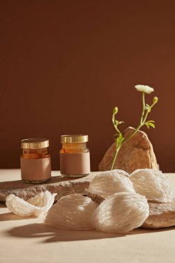 Koyu bir arka planda, cam kavanoz kuş yuvası çorbası bazı yenilebilir kuş yuvaları ile taşların üzerine yerleştirilir. Doğal olarak kuş yuvası cildiniz ve sağlığınız için iyidir, kan basıncınızı ve kolesterolünüzü düşürür.