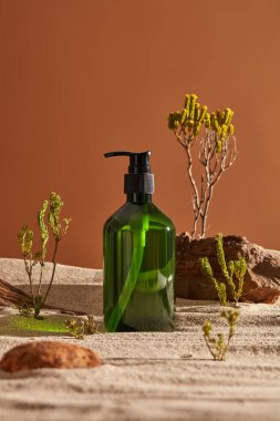 Kuma taş ve ağaçlarla süslenmiş boş etiketli şeffaf bir şişe. Doğal, organik güzellik ürünleri kavramı.