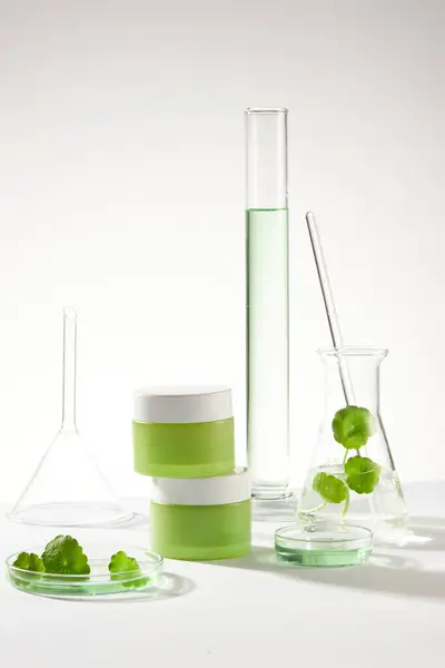 Erlenmeyer Flask Glass Rod Gotu Kola Leaves Petri Dish Two — Stock Photo, Image