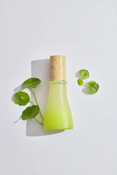 Vaso Con Tappo Legno Decorato Con Foglie Cola Gotu Sfondo — Foto Stock