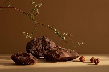 Bir çiçek dalı, ceviz ve en az kahverengi manzaralı birkaç taş.