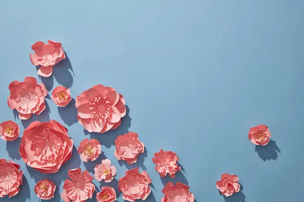 Veel Roze Bloemen Versierd Met Minimalistische Blauwe Achtergrond Voor Lente — Stockfoto