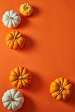 Cadılar bayramı beyaz ve turuncu balkabaklarının farklı boyutlarda görüntüsü. Ürün sunumu için boş alan