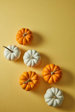 Sarı arka planda beyaz ve turuncu balkabaklarıyla cadılar bayramı süslemeleri. Yukarıdan bak. Düz yatıyordu