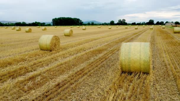 Zoom Move Video Hay Bales Agricultural Field Grain Harvest Germany — Stock Video