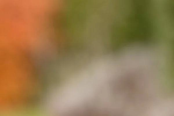 Blurred green and orange autumn leaves create beautiful background for out of focus photo with copy space