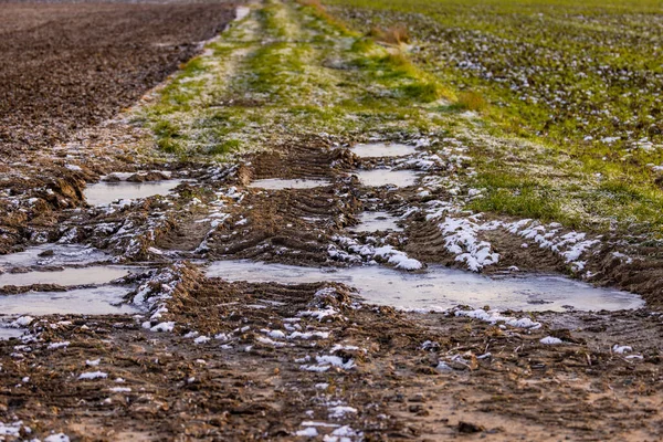 A dirt road with grass and dirt with frozen water puddles with ice in winter, Germany