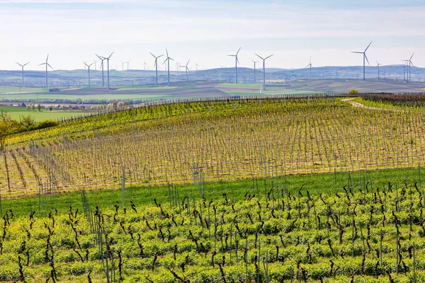 Countless wind turbines of an onshore wind farm next to fields and vineyards in Rhineland-Palatinate