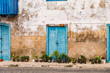 Multiple blue front doors of colonial houses with plants in Sal Rei on Boa Vista Island, Cabo Verde