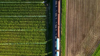 Passage of a colorful freight train on a railway line through rural area seen directly from above from a drone perspective, Germany