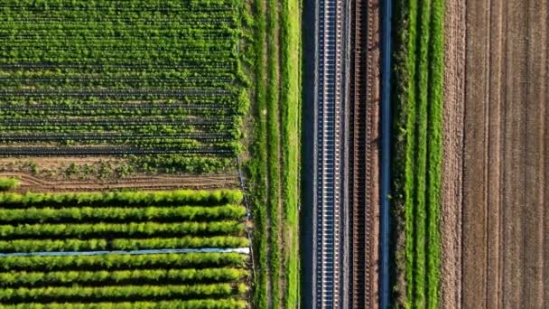 Zoom Railroad Tracks Green Grass Fields Seen Drone Perspective — Αρχείο Βίντεο