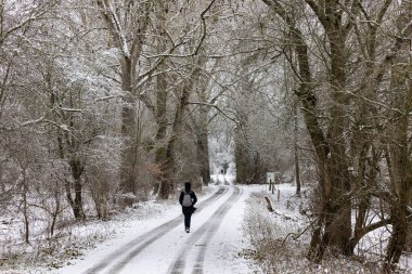 Snowy lonely dirt road with pedestrian in winter with snow and ice in Hesse, Germany