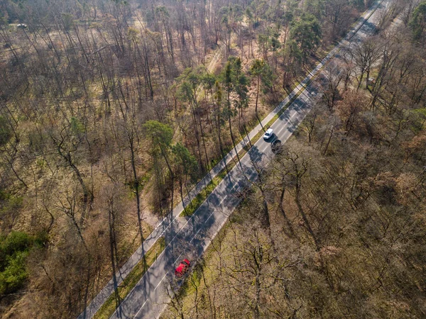 Luftaufnahme Einer Straße Durch Nadelbäume Einem Vom Walddiebstahl Betroffenen Kranken — Stockfoto