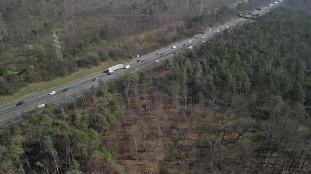 독일의 발트슈 벤에서 이산화 도로에서 체증으로 나무가 나무들 — 비디오