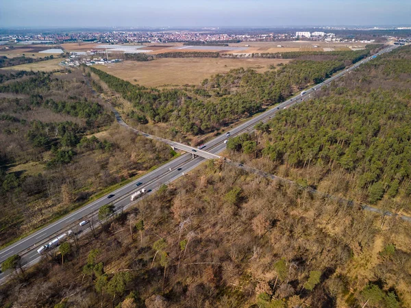 Aerial view of diseased forest with damaged trees through which highway runs, Germany