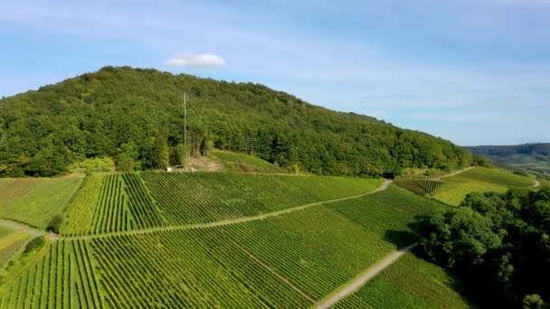 แพนย ายภาพของพ การเกษตรท สวนอง นและท งนาในพ ชนบทของเยอรมน — วีดีโอสต็อก
