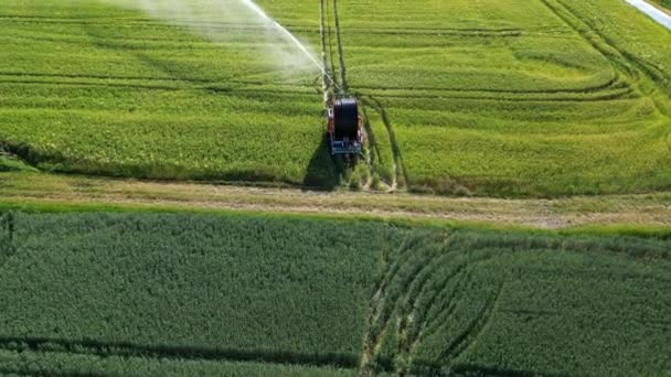 ドイツ夏の暑さの穀物畑におけるスプリンクラーシステムの飛行 — ストック動画