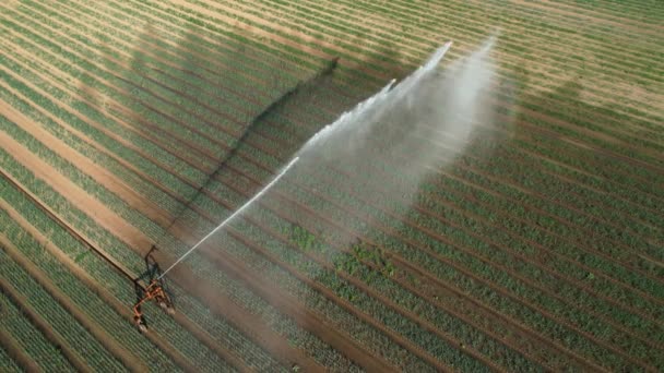 夏の干ばつと暑さ 航空ビュー ドイツのフィールドでの灌漑 — ストック動画