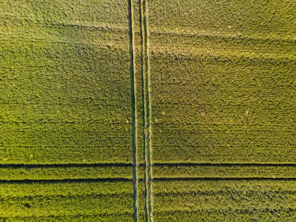 Повітряний Вид Поле Зерном Тракторами Німеччина — стокове фото