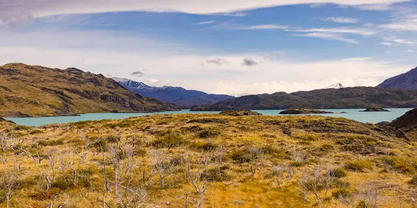 Einsames Grasland Lago Nordernskjold Torres Del Paine Nationalpark Patagonien Chile — Stockfoto