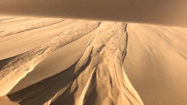 Żółty Pustynny Piasek Płynący Dół Wydmy Jak Woda Pustynia Namib — Wideo stockowe