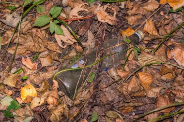 Plastik krizinde Alman Odenwald ormanını kirleten cam bir şişe.