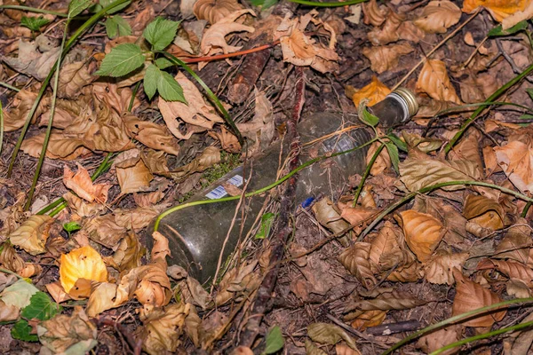 Egy Üvegpalack Szennyezi Erdőt Német Odenwald Műanyag Krízisben — Stock Fotó