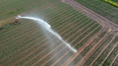 Su sulama sistemiyle çekilmiş İHA görüntüsü. Bitkiler ve lastik izleriyle tarımsal alana su dağıtıyor.